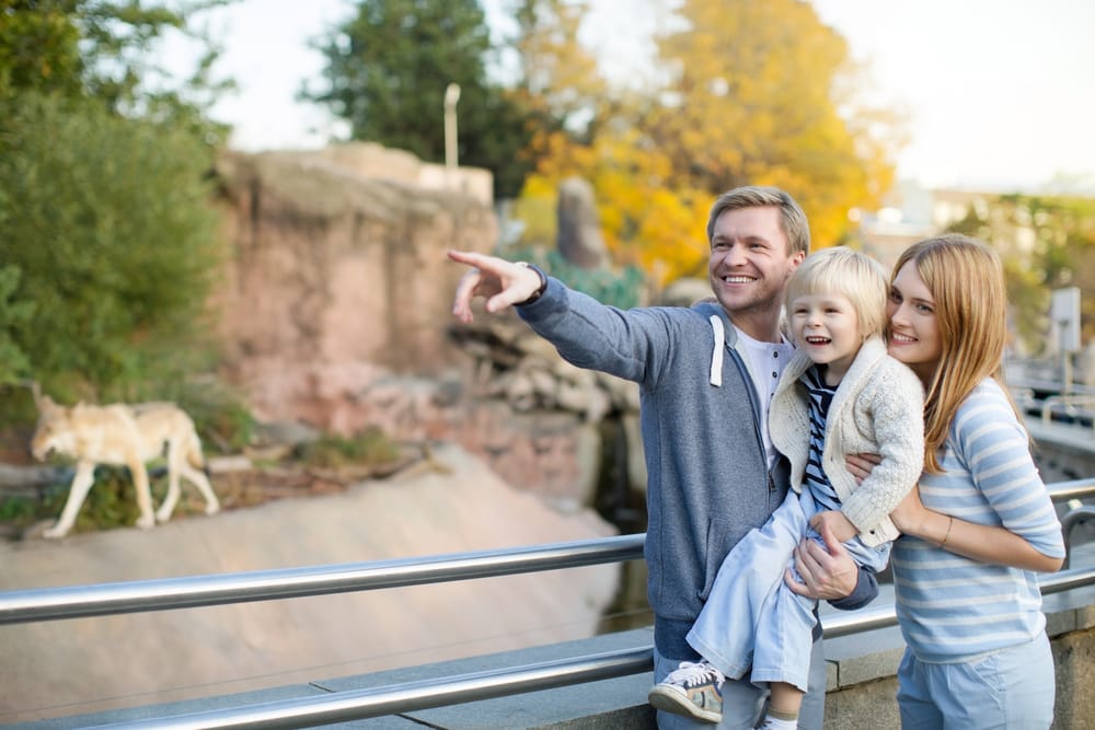 Spend The Day At The Bronx Zoo