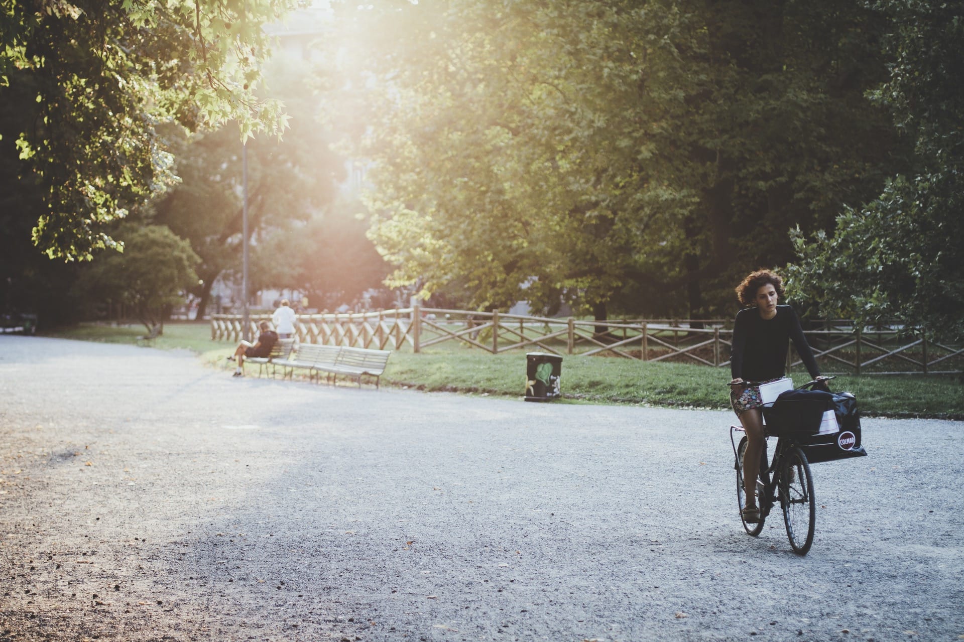 Spend The Day At Central Park