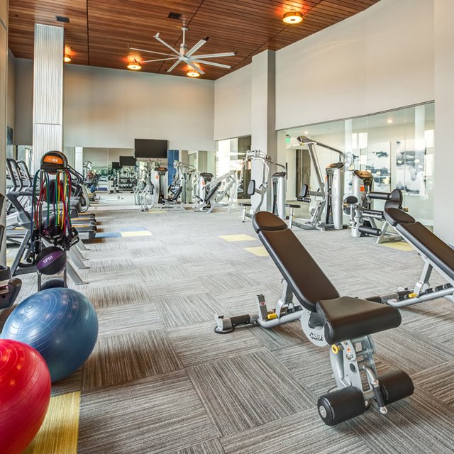 The Danforth - Fitness Center with Motion Studio