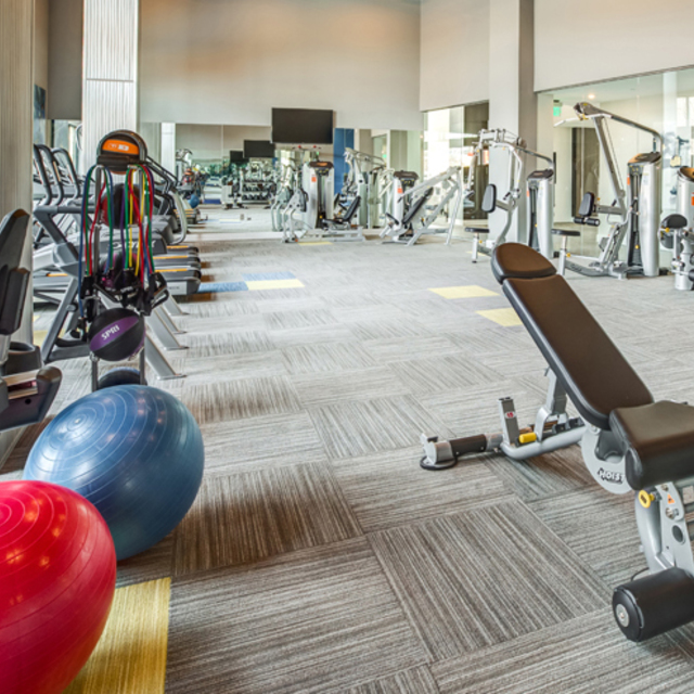 The Danforth -  Fitness Center with Motion Studio