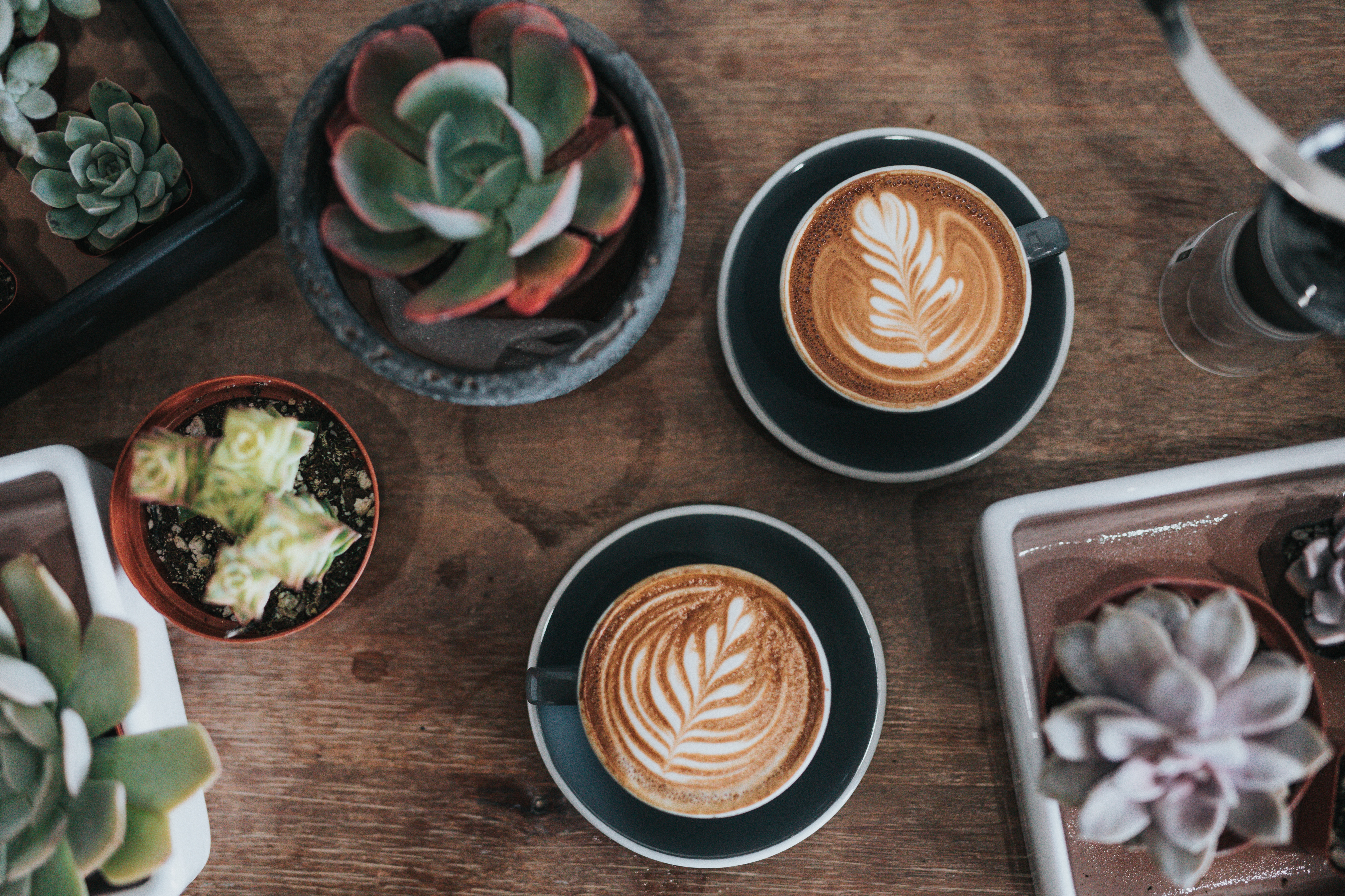 Three of the Best Nearby Coffee Shops