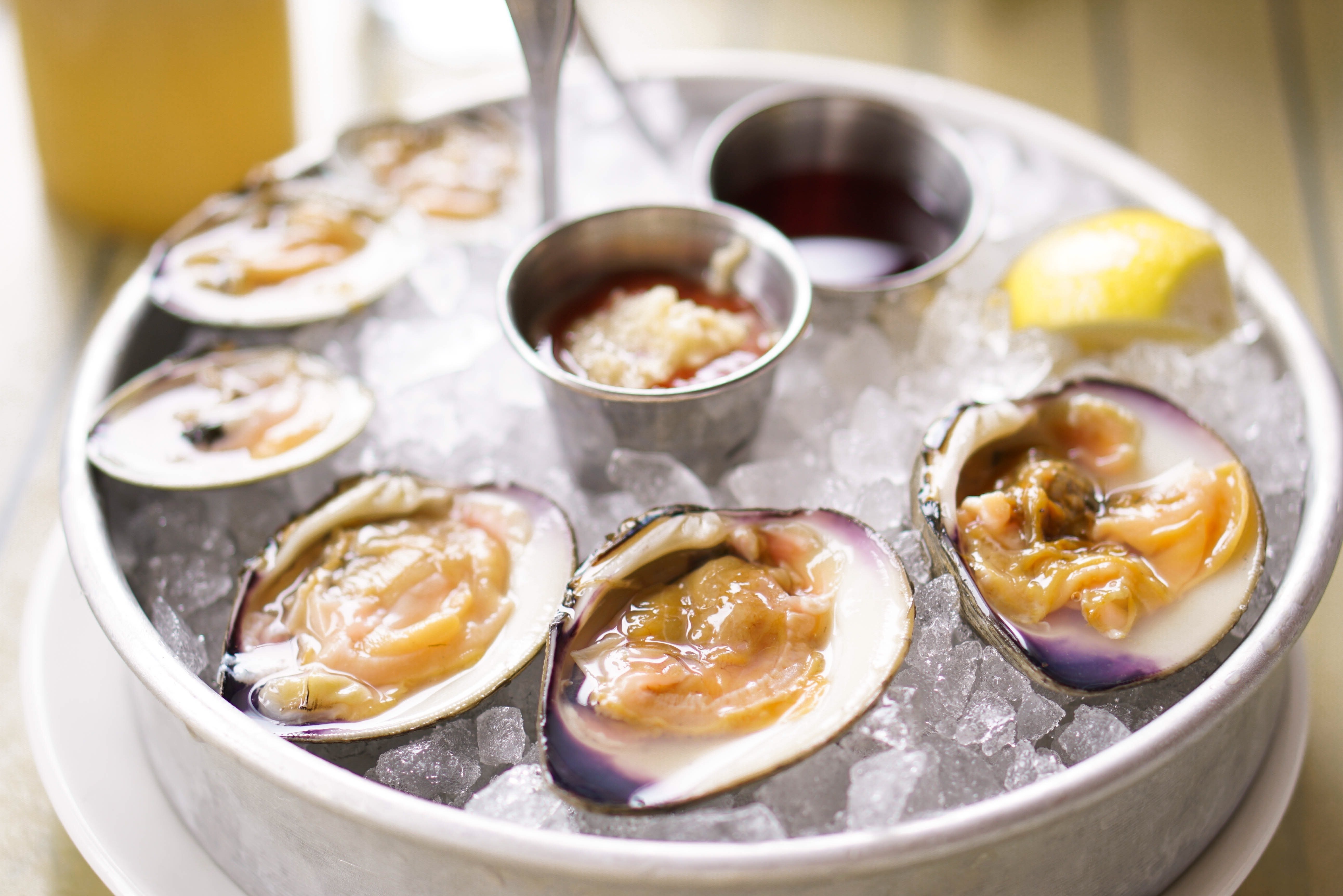 Don't Miss National Clams on the Half Shell Day