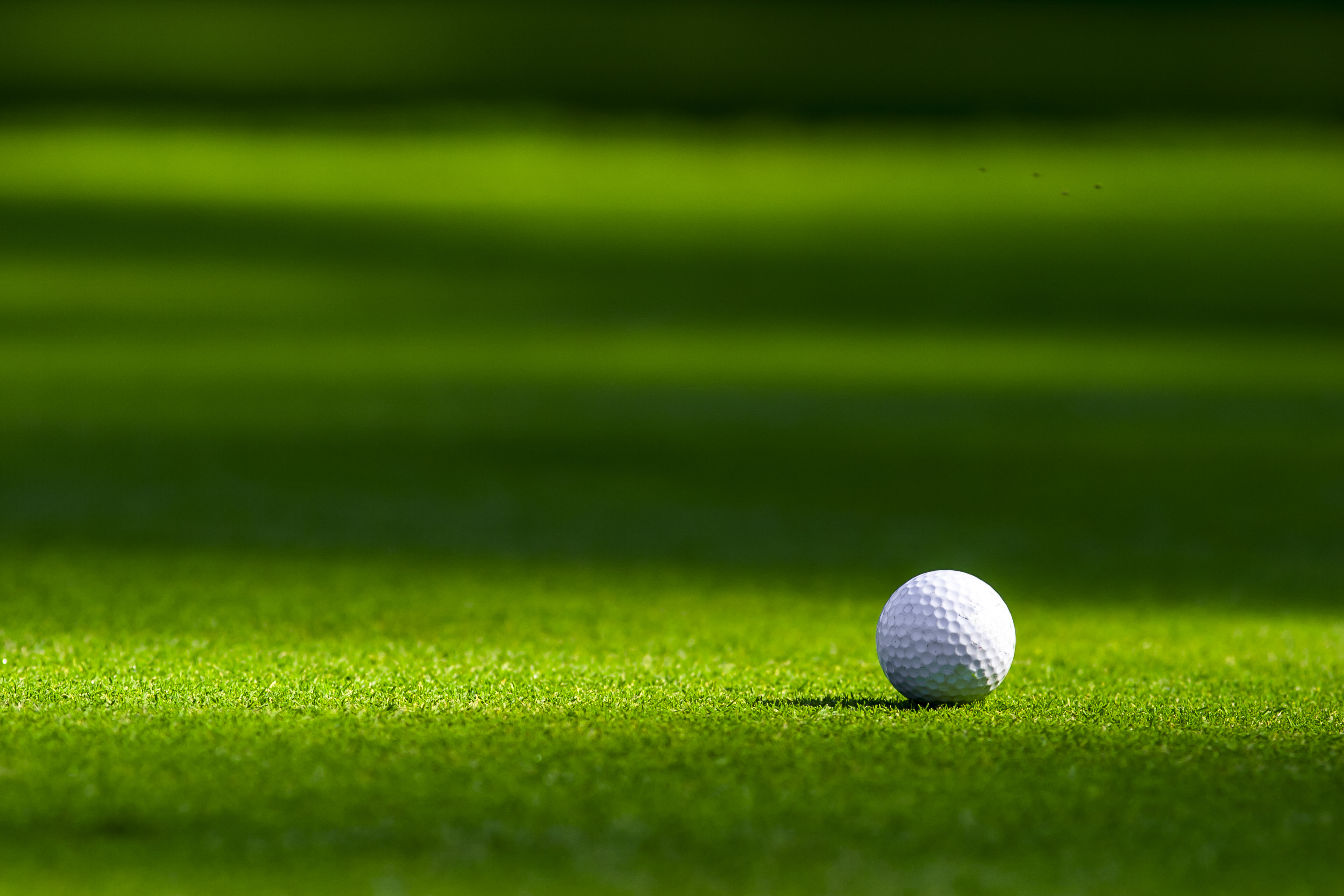 The Best Nearby Golf Courses